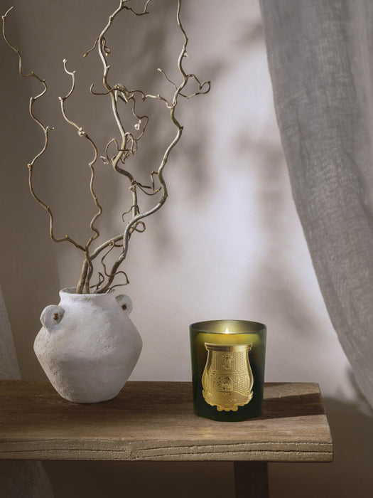 Handmade Scented Candle Solis Rex Fir Bark
