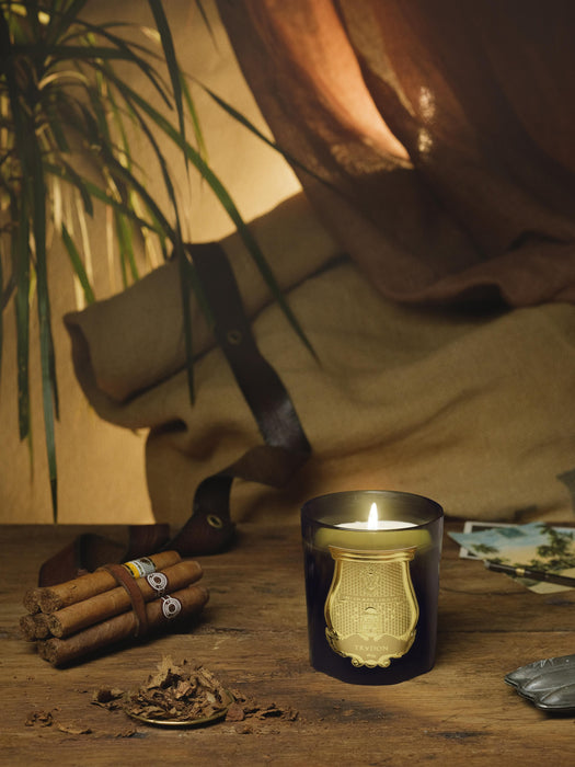 Handmade Scented Candle Solis Rex Fir Bark