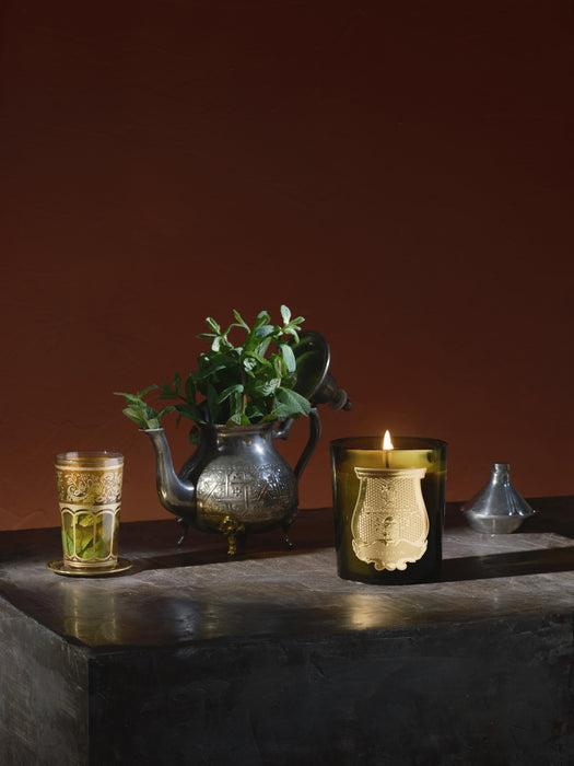 Handmade Scented Candle Solis Rex Fir Bark