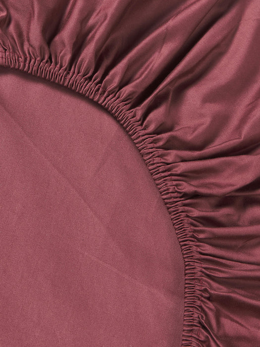 Premium Divan Fitted Sheet, Cotton Sateen