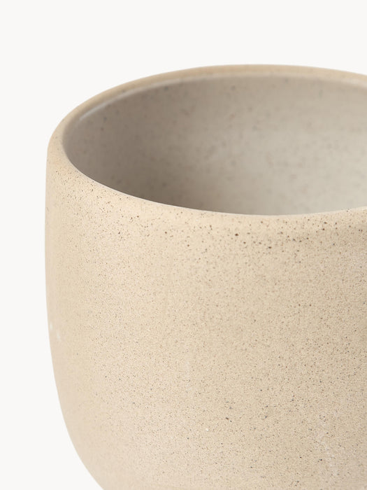 Mugs Ginger Set of 4