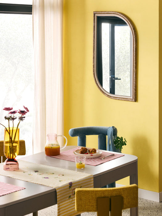 Abam Wall Mirror in an Organic Shape