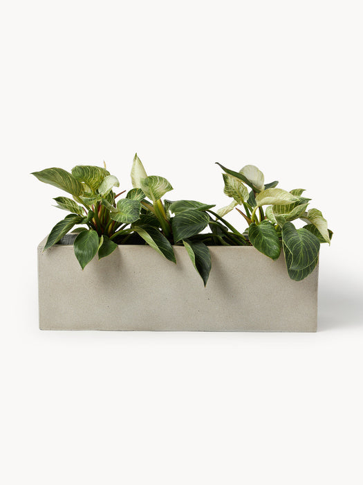 Tuscany Outdoor Concrete Cover Pot, H 19 cm