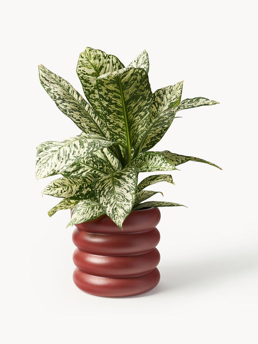 Cover Pot Rudi H 30 cm