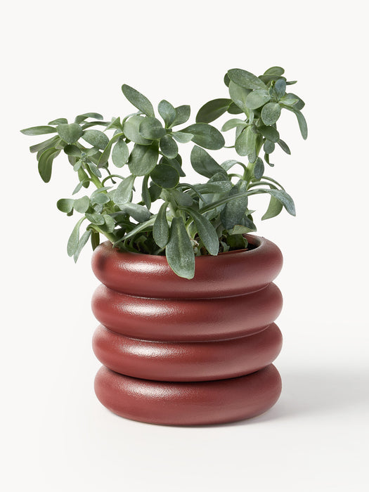Plant Pot Rudi with Saucer H 16 cm