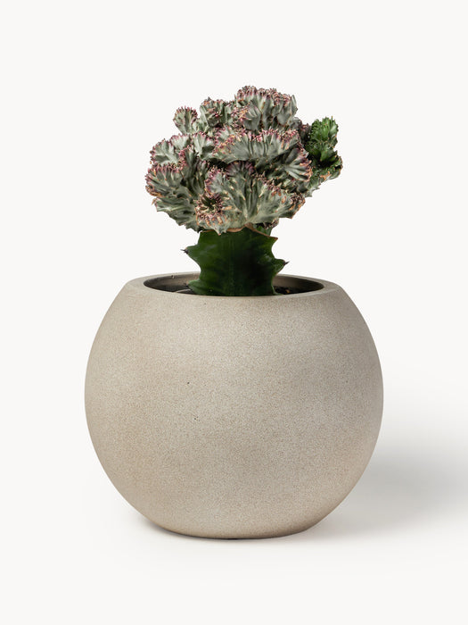 Outdoor Concrete Cover Pot Tuscany H 21 cm