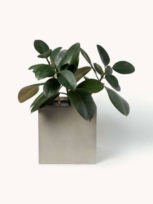Tuscany Outdoor Concrete Cover Pot, H 30 cm