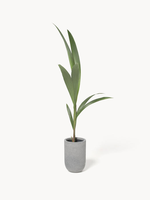 Tuscany Outdoor Concrete Cover Pot, H 34 cm