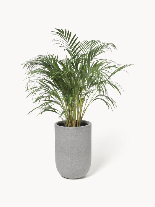 Tuscany Outdoor Concrete Cover Pot, H 40 cm