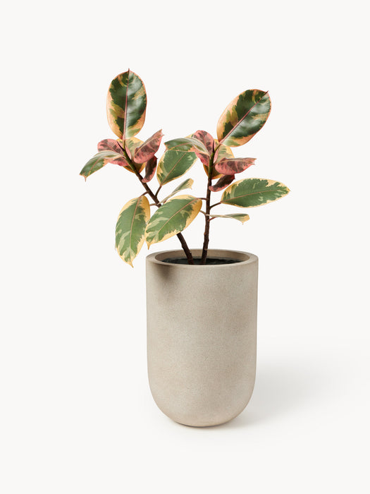 Tuscany Outdoor Concrete Cover Pot, H 34 cm