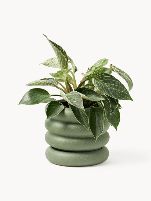 Plant Pot Rudi with Saucer H 16 cm