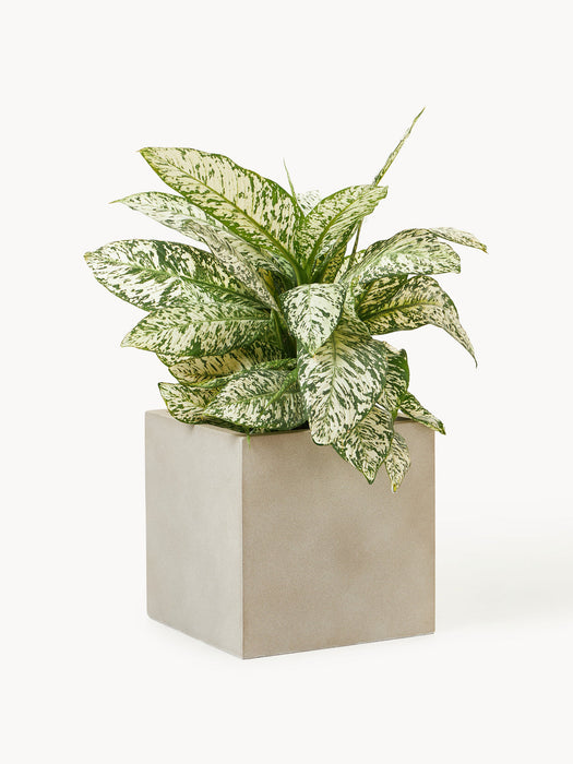 Tuscany Outdoor Concrete Cover Pot, H 40 cm