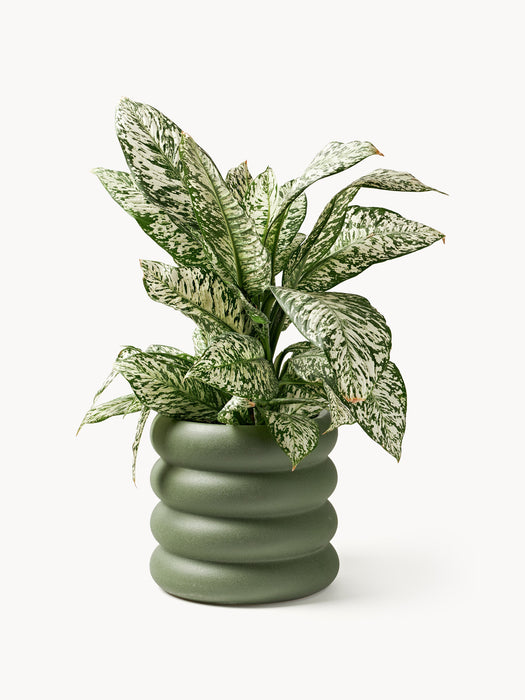 Cover Pot Rudi H 30 cm