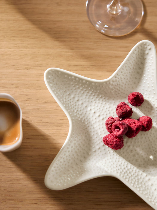 Porcelain Starfish Plates Andrina Set of 2