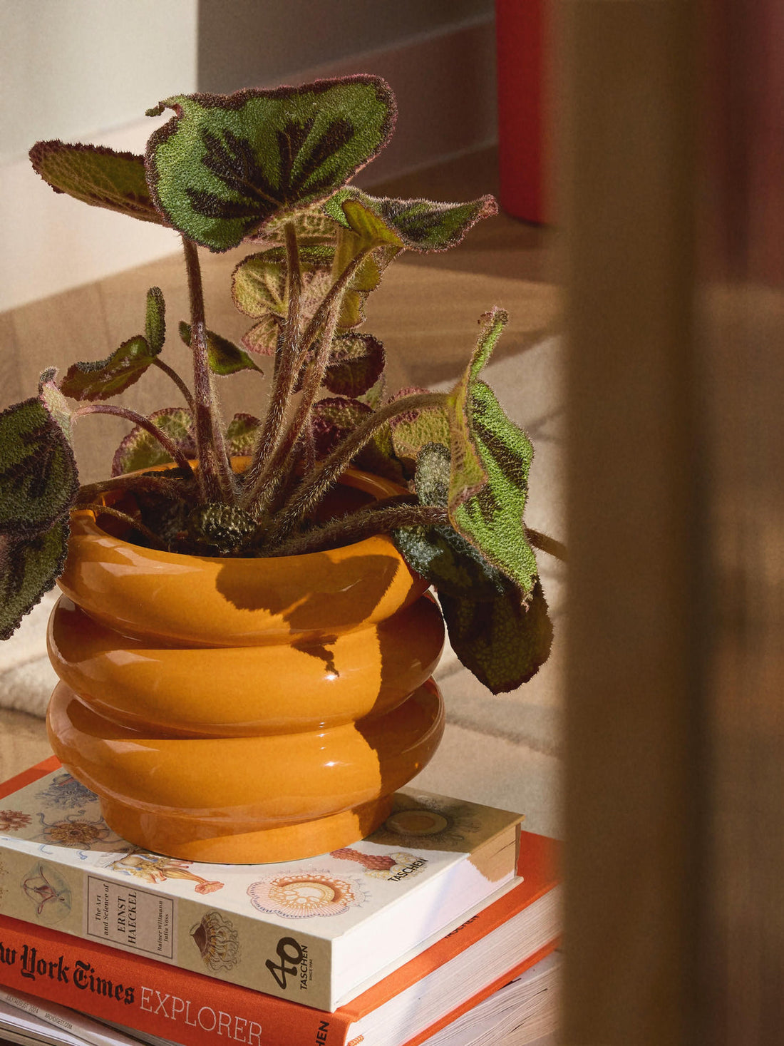 Rudi Plant Pot with Saucer, H 16 cm