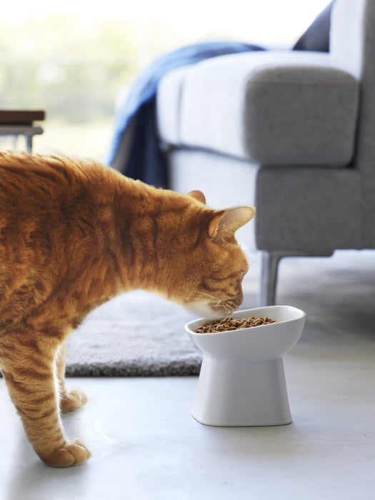 Ceramic Pet Bowl Tower