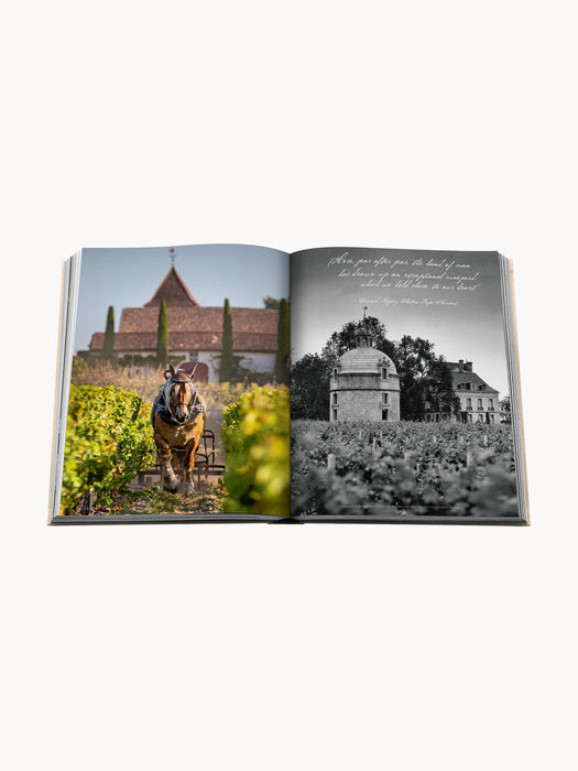 Wine & Travel Coffee Table Book: France