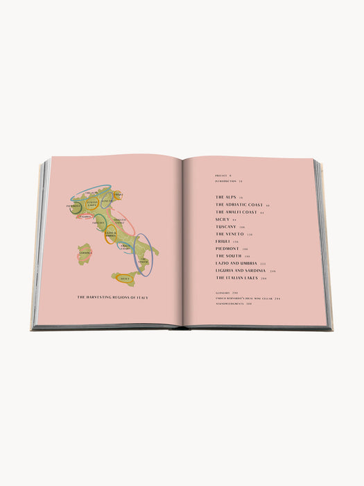 Wine & Travel Coffee Table Book: Italy