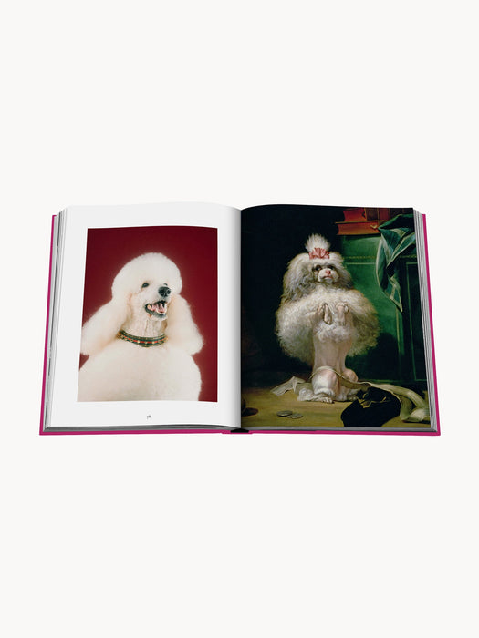 Coffee Table Book Chic Dogs