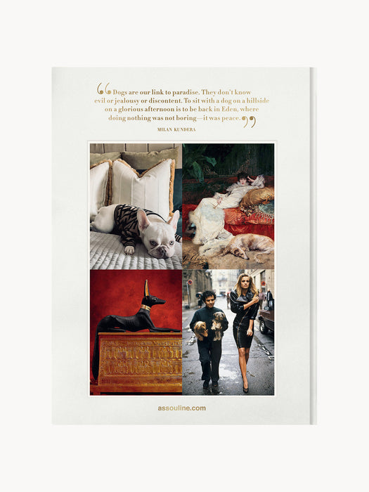 Chic Dogs Coffee Table Book