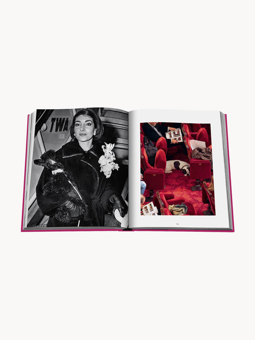 Coffee Table Book Chic Dogs