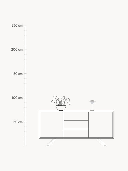 Dimmable Portable LED Table Lamp Ani