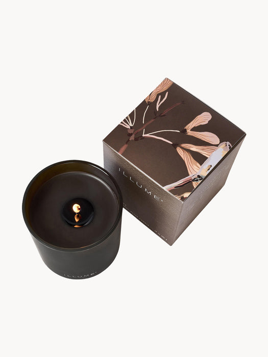 Scented Candle Cedarwood Suede & Amber