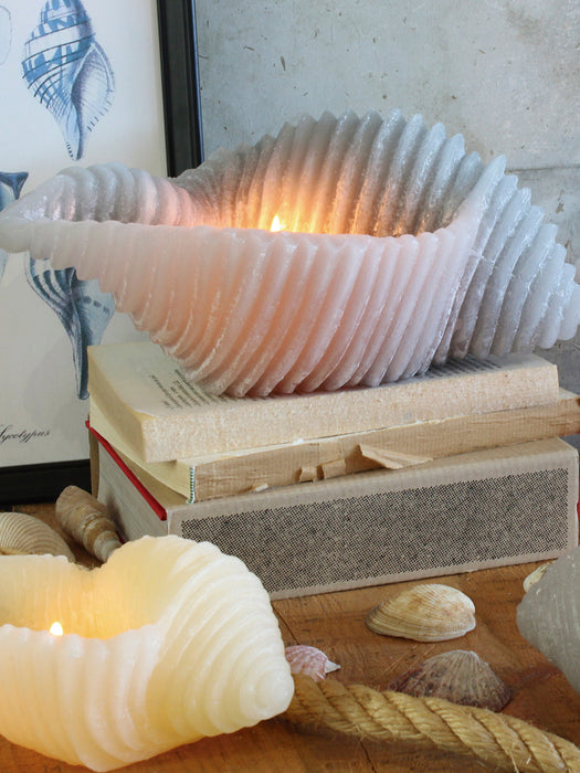 Handmade Candle Cargol in Seashell Shape