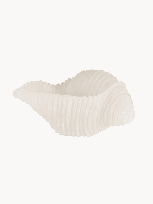 Handmade Candle Cargol in Seashell Shape