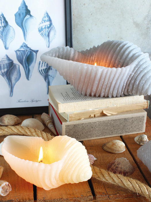 Handmade Candle Cargol in Seashell