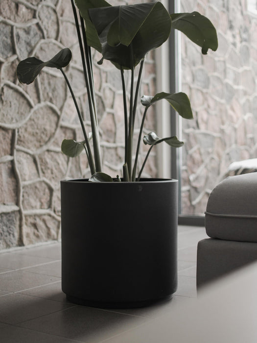 Cover Pot Solid