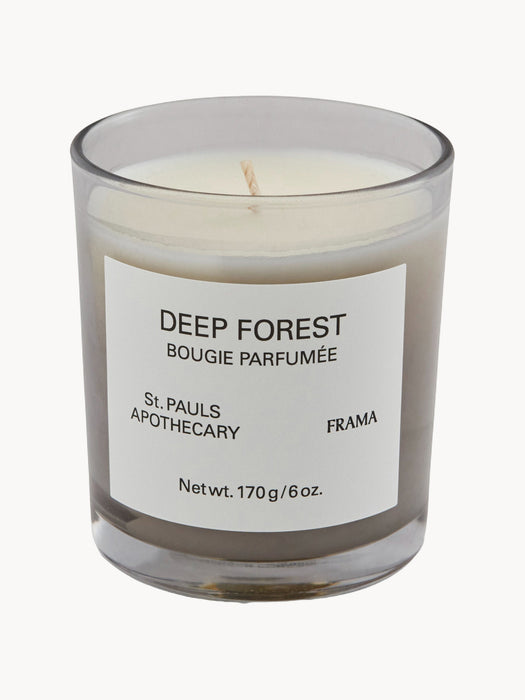 Scented Candle Deep Forest Orange White Rose Cedarwood & Patchouli