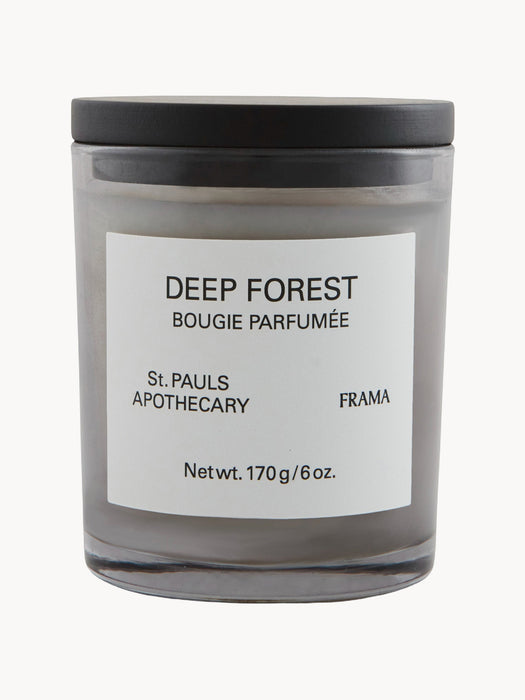 Scented Candle Deep Forest Orange White Rose Cedarwood & Patchouli