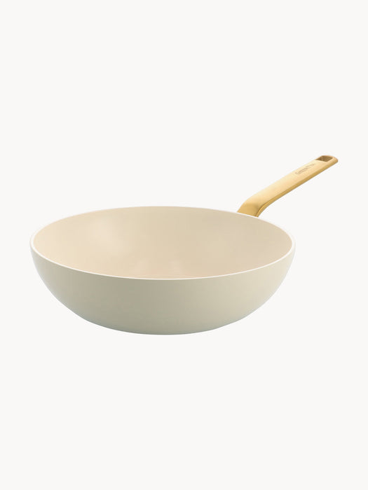Non-Stick Wok Evolution