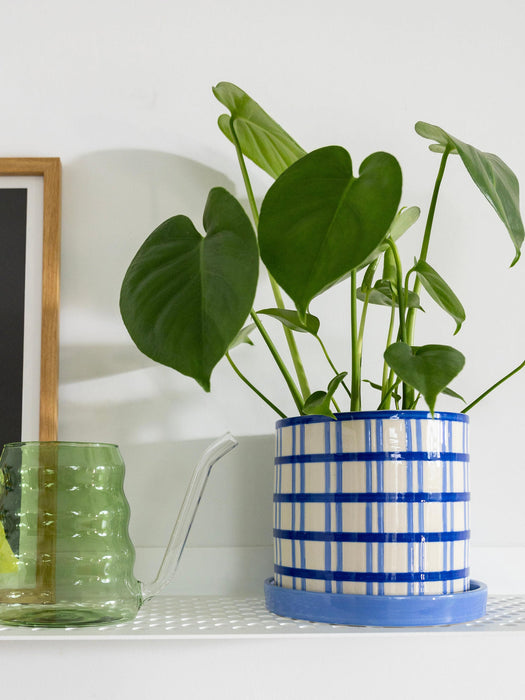 Hand-Painted Plant Pot Clash