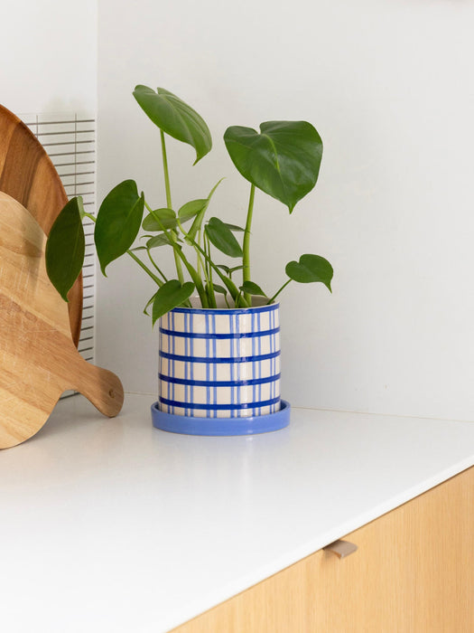 Hand-Painted Plant Pot Clash