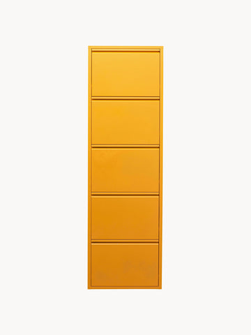 Fold Out Shoe Cabinet Caruso