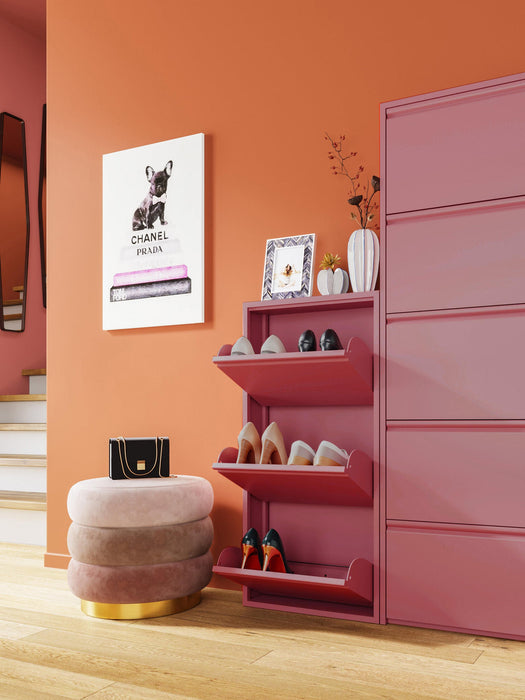 Fold Out Shoe Cabinet Caruso