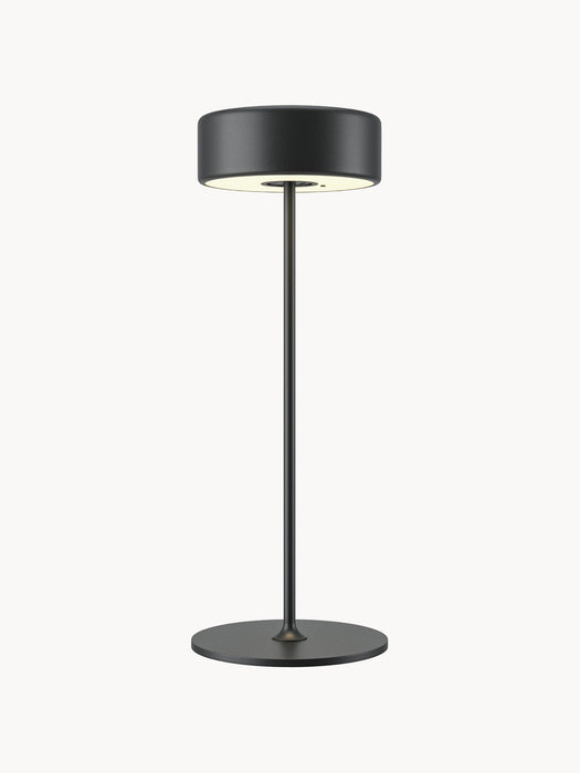 Small Dimmable LED Metal Table Lamp AI Collaboration