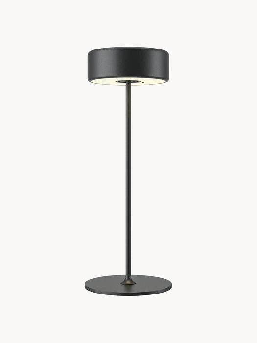 Small Dimmable LED Metal Table Lamp AI Collaboration