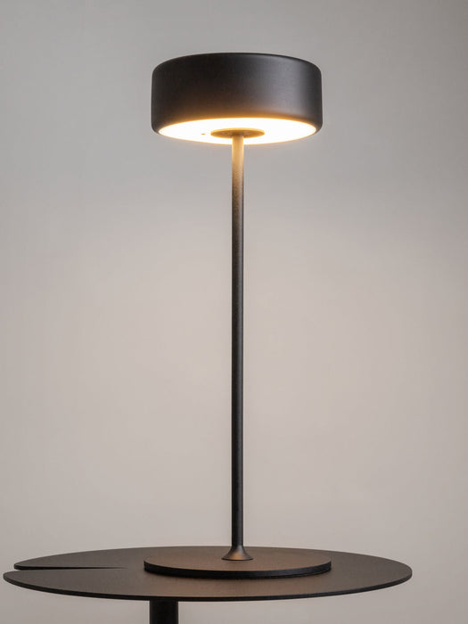 Small Dimmable LED Metal Table Lamp AI Collaboration