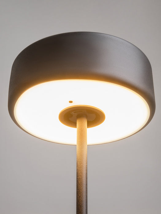 Small Dimmable LED Metal Table Lamp AI Collaboration