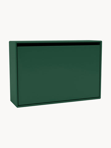 Hide Wooden Shoe Cabinet