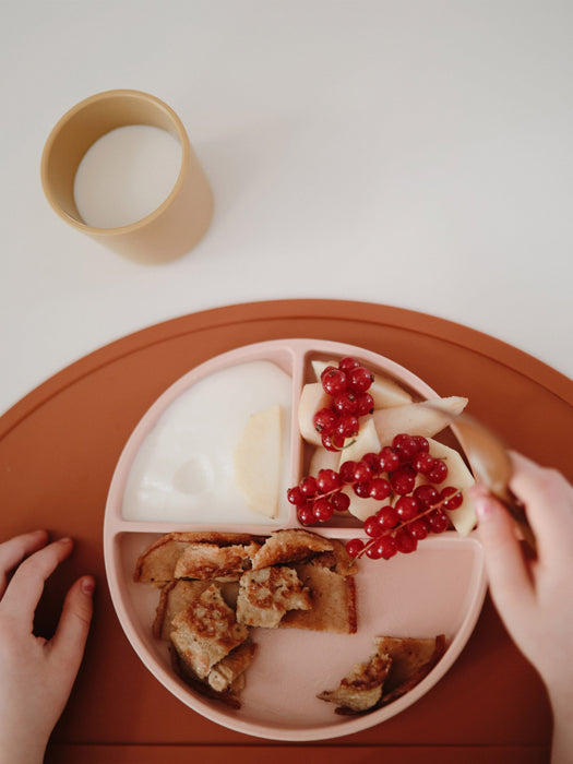 Kids Plate Suction