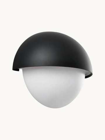 Outdoor Wall Sconce Scorpius