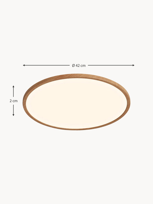 Dimmable LED Ceiling Lamp Oja