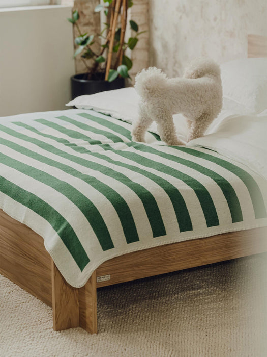 Cotton Blanket Onu