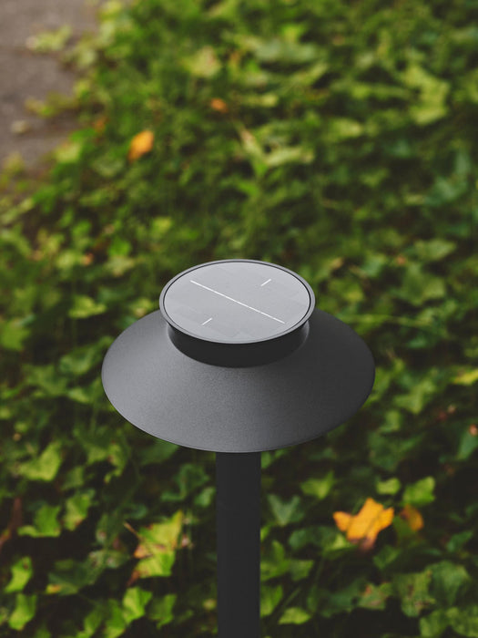Outdoor LED Pathway Light Justina with Motion Sensor