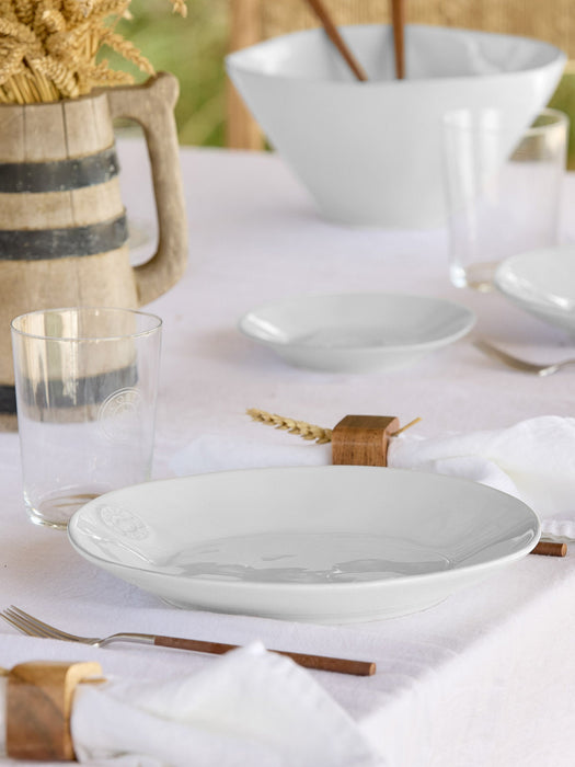 Dinner Plate Nova with Hand-Brushed Rim