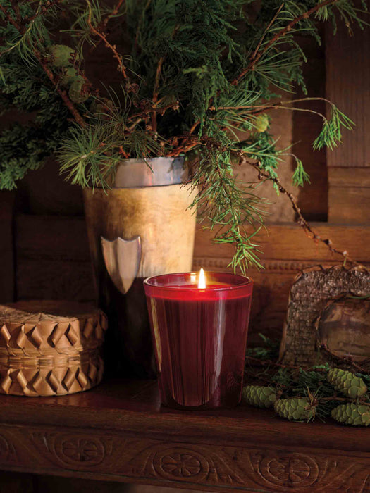 Scented Candle Holiday Evergreen Red Currant Juniper Berry